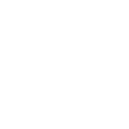 mastercard icon