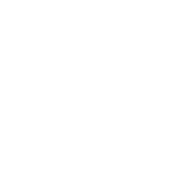 Visa icon