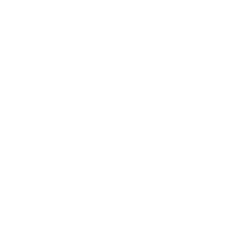 Discover icon